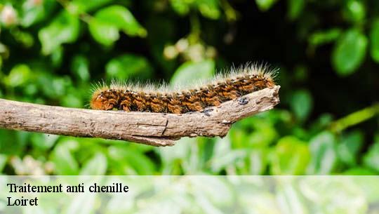 Traitement anti chenille Loiret