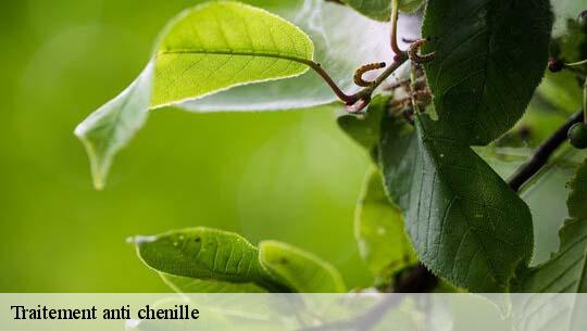 Traitement anti chenille Loiret