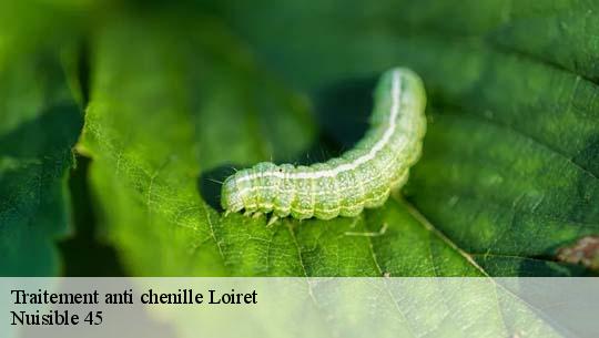 Traitement anti chenille Loiret