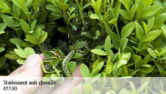 Traitement anti chenille 45530