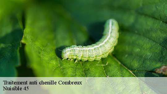 Traitement anti chenille 45530