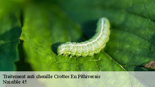 Traitement anti chenille 45170