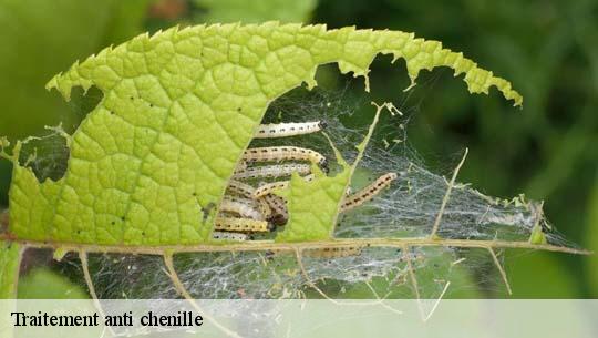 Traitement anti chenille 45210