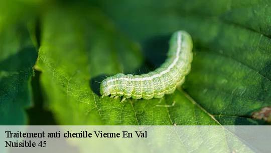 Traitement anti chenille 45510
