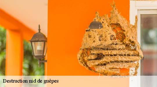 Destruction nid de guêpes 45500