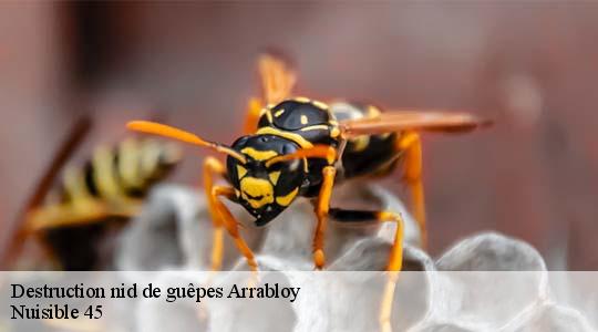 Destruction nid de guêpes 45500