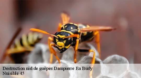 Destruction nid de guêpes 45570