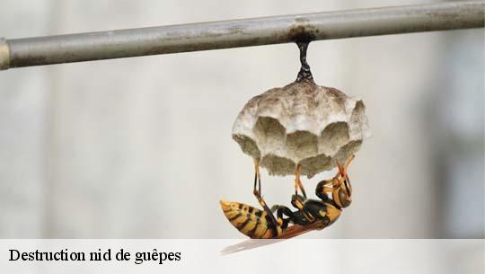 Destruction nid de guêpes 45290