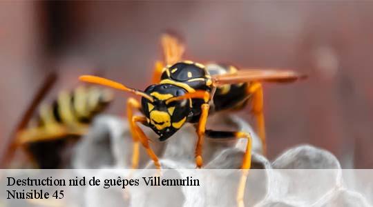 Destruction nid de guêpes 45600