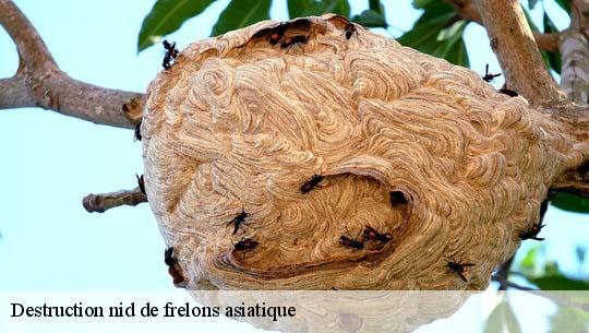 Destruction nid de frelons asiatique 45570