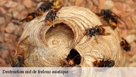 Destruction nid de frelons asiatique 45480