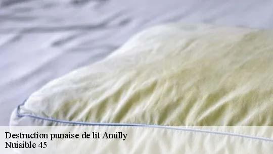 Destruction punaise de lit 45200