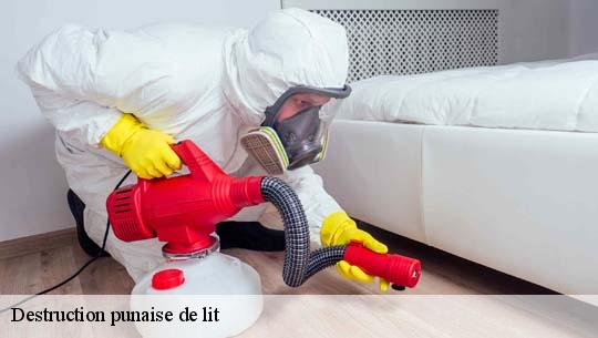 Destruction punaise de lit 45500