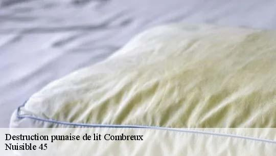 Destruction punaise de lit 45530