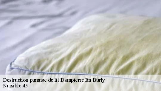 Destruction punaise de lit 45570