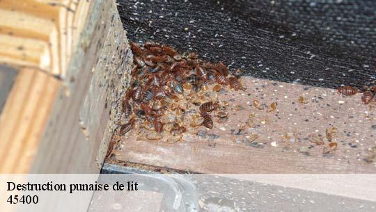 Destruction punaise de lit 45400