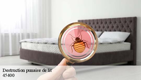 Destruction punaise de lit 45400