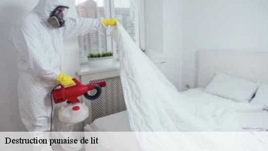 Destruction punaise de lit 45400