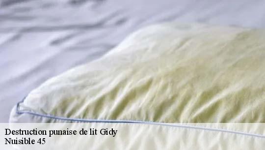 Destruction punaise de lit 45520