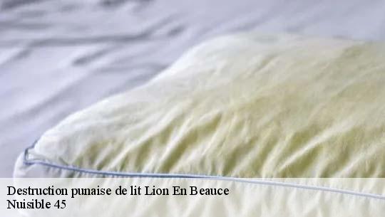 Destruction punaise de lit 45410
