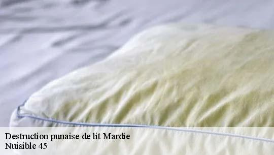 Destruction punaise de lit 45430