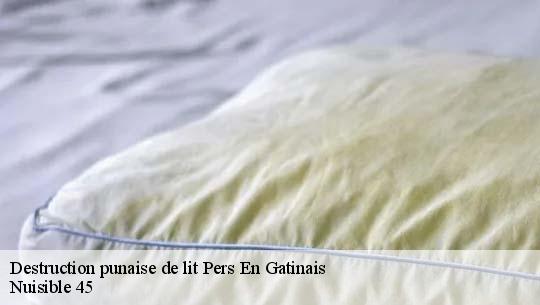 Destruction punaise de lit 45210