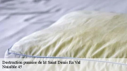 Destruction punaise de lit 45560