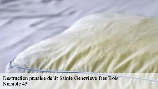 Destruction punaise de lit 45230