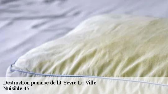 Destruction punaise de lit  45300