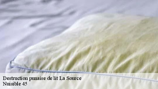 Destruction punaise de lit 45100