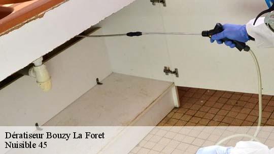 Dératiseur 45460