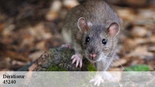 Dératiseur 45240