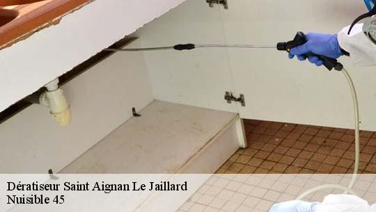 Dératiseur 45600