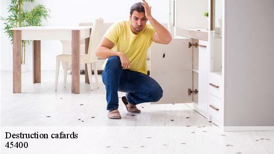 Destruction cafards 45400