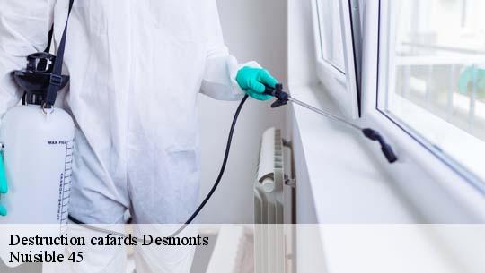 Destruction cafards 45390