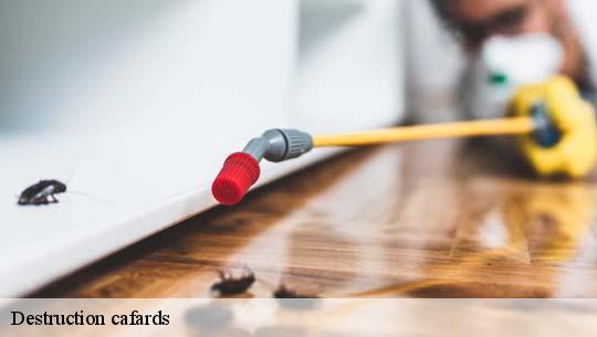 Destruction cafards  45170