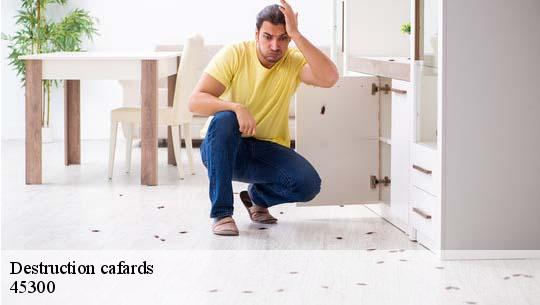 Destruction cafards 45300