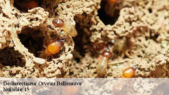 Désinsectiseur 45330